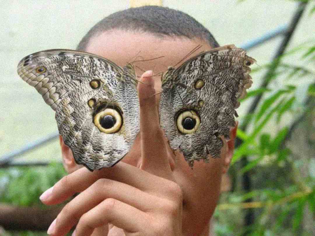 A person holds a large butterfly with eye-like patterns on its wings in front of their face, aligning the wings with their eyes to create a surreal, mask-like effect. Greenery is visible in the background.