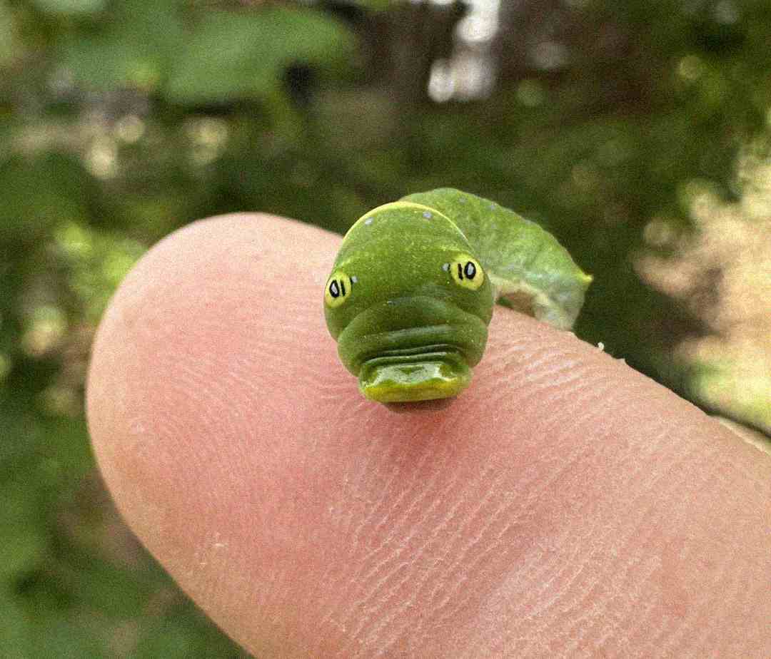 A small green caterpillar with markings that resemble a snake's face rests on the tip of a person's finger, with blurred green foliage in the background.