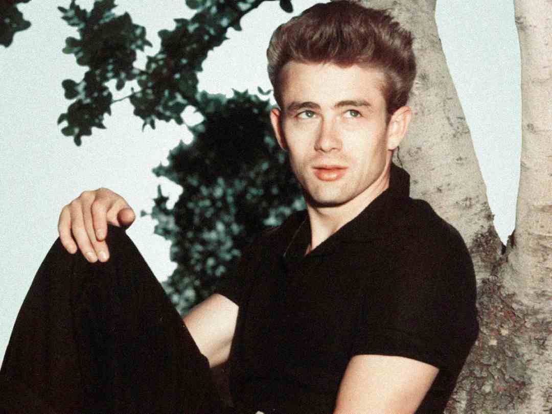A young man with light skin and styled blond hair sits by a tree, wearing a black short-sleeve shirt and black pants. He looks slightly to the side with a calm expression, with green leaves visible in the background.