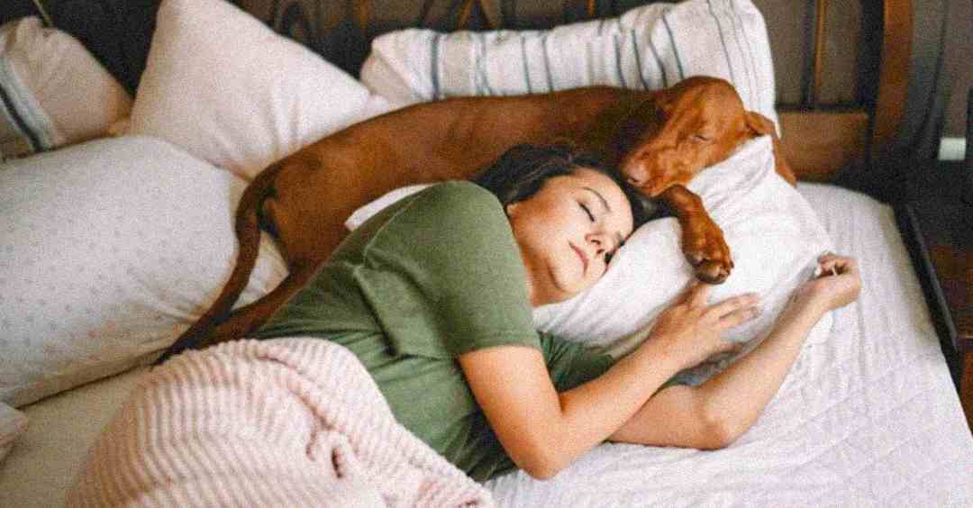 A woman sleeps on a bed with a brown dog lying beside her, both resting their heads on pillows and appearing peaceful and comfortable.