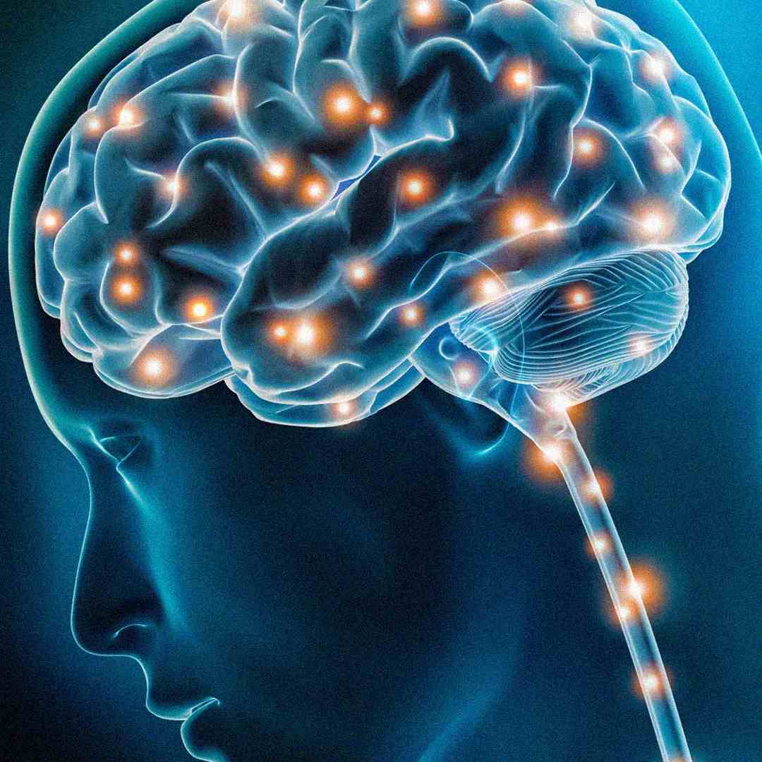 A digital illustration of a human brain inside a head profile, showing glowing orange points connected by neural pathways, symbolizing brain activity and neural connections.