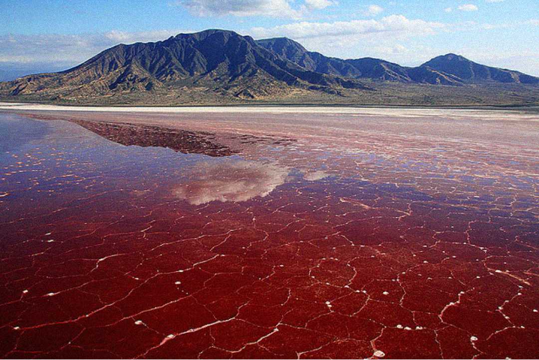 A mountain range reflected in a red, salty lake with a cracked surface under a partly cloudy sky.