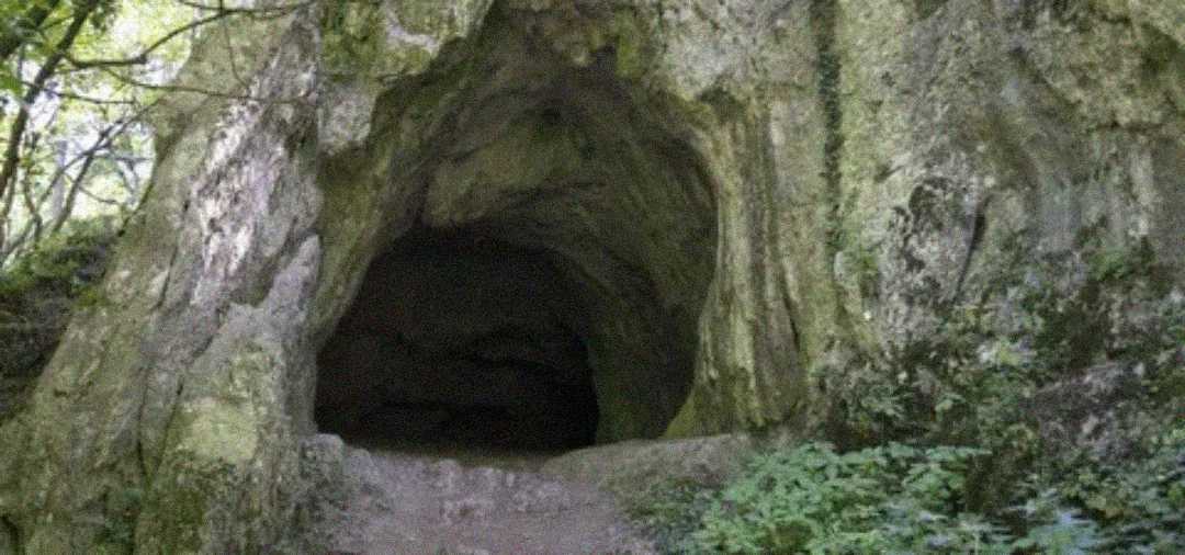 A large, dark cave entrance set in a rocky, moss-covered hillside surrounded by green foliage and trees.