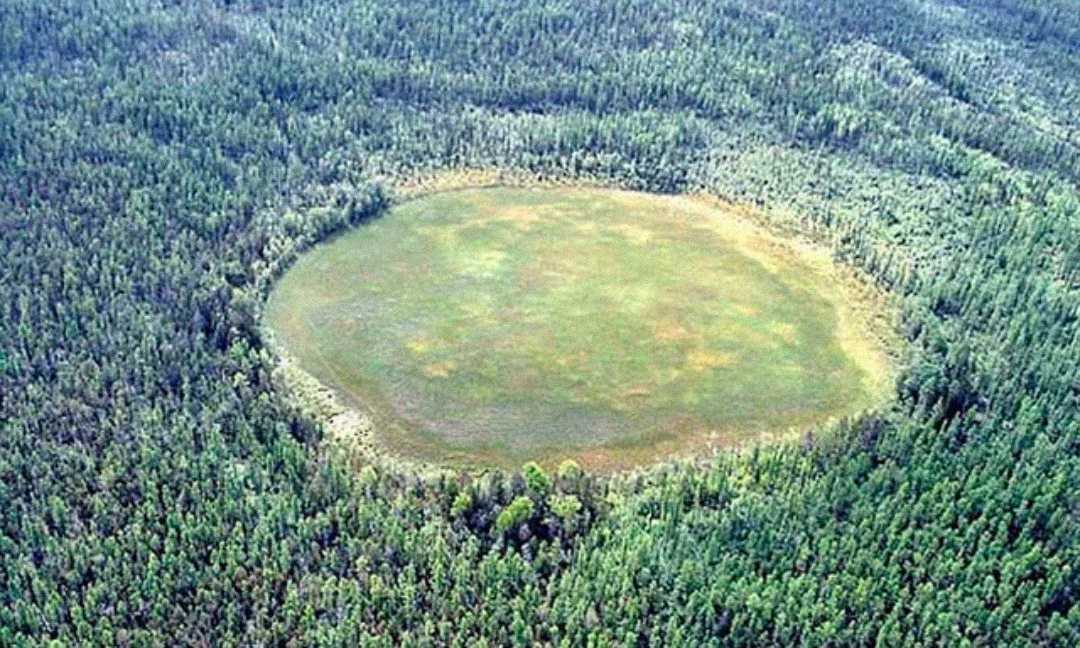 Aerial view of a dense green forest with a large, circular, grassy clearing in the center, surrounded by tall trees. The clearing appears as an almost perfect circle.
