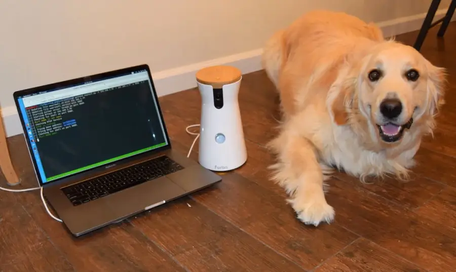A golden retriever lies on a wooden floor next to a laptop displaying code and a white pet treat dispenser, all near a wall.