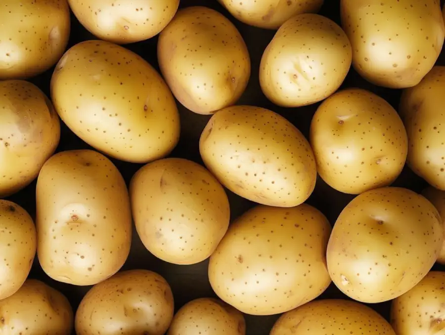 A close-up view of several whole, unpeeled potatoes with smooth, light brown skin and small eyes, piled closely together.