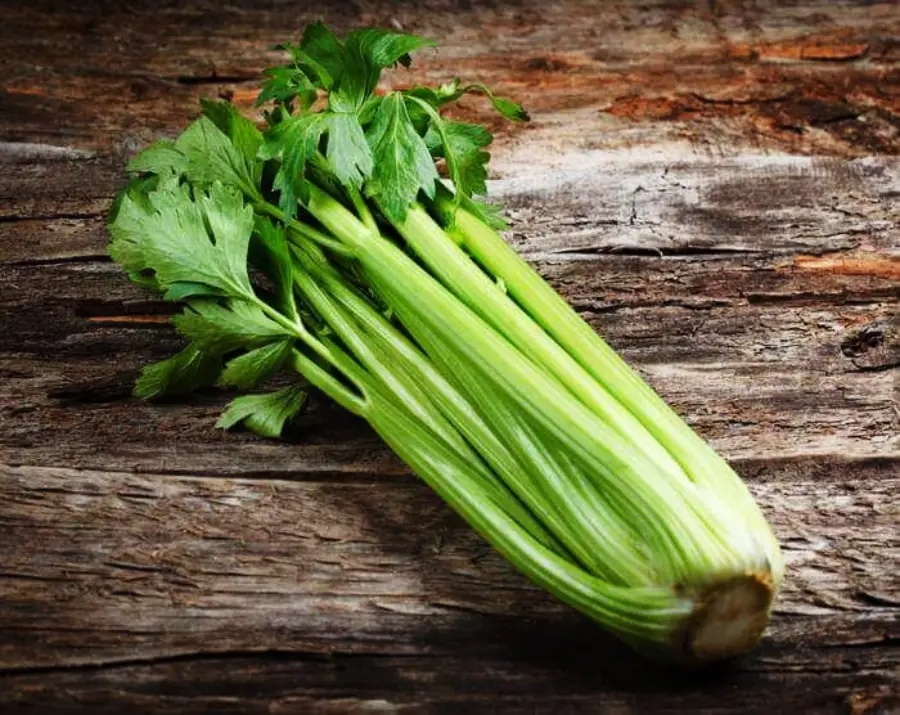 A bunch of fresh celery stalks with green leaves rests on a rustic wooden surface.