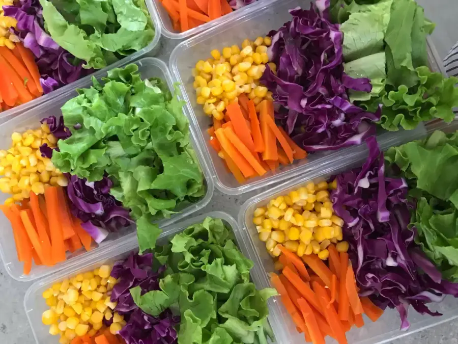 Plastic containers filled with fresh salad ingredients: bright green lettuce, shredded purple cabbage, sliced orange carrots, and yellow corn, neatly arranged in separate sections.