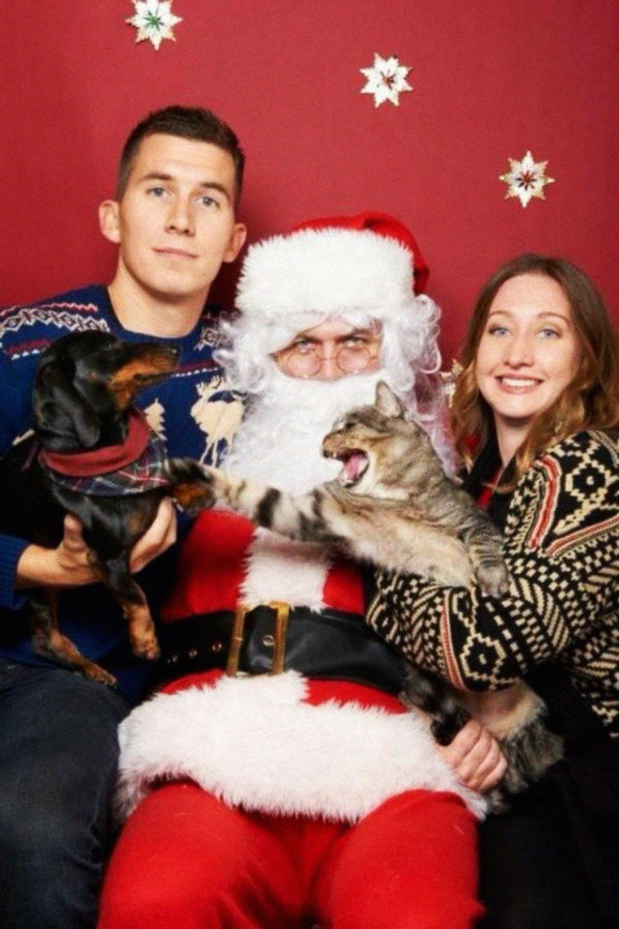 A man, a woman, and someone dressed as Santa Claus pose in front of a red background with snowflakes, holding a dog and a hissing cat that is swatting at the dog. Everyone is wearing festive sweaters.