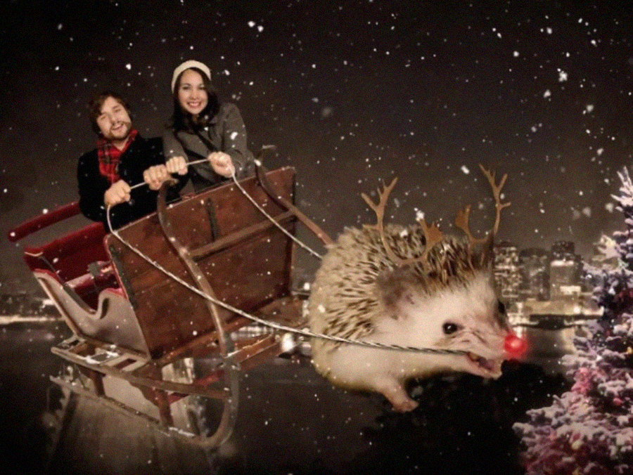 A man and woman ride a wooden sleigh through snowy night sky, pulled by a hedgehog with antlers and a glowing red nose. A city skyline and snowy trees are visible in the background.