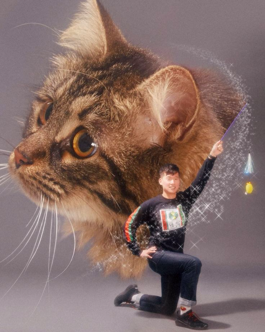 A person kneels and poses with a cat toy on a wand, while behind them is a large, dreamy, edited image of a fluffy cat’s face surrounded by sparkling effects.