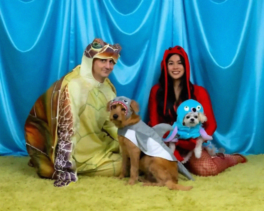 Two adults and two dogs in playful costumes pose on a yellow carpet in front of blue fabric. One adult is dressed as a turtle, the other as a ladybug. One dog wears a shark costume, and the other is dressed as an octopus.