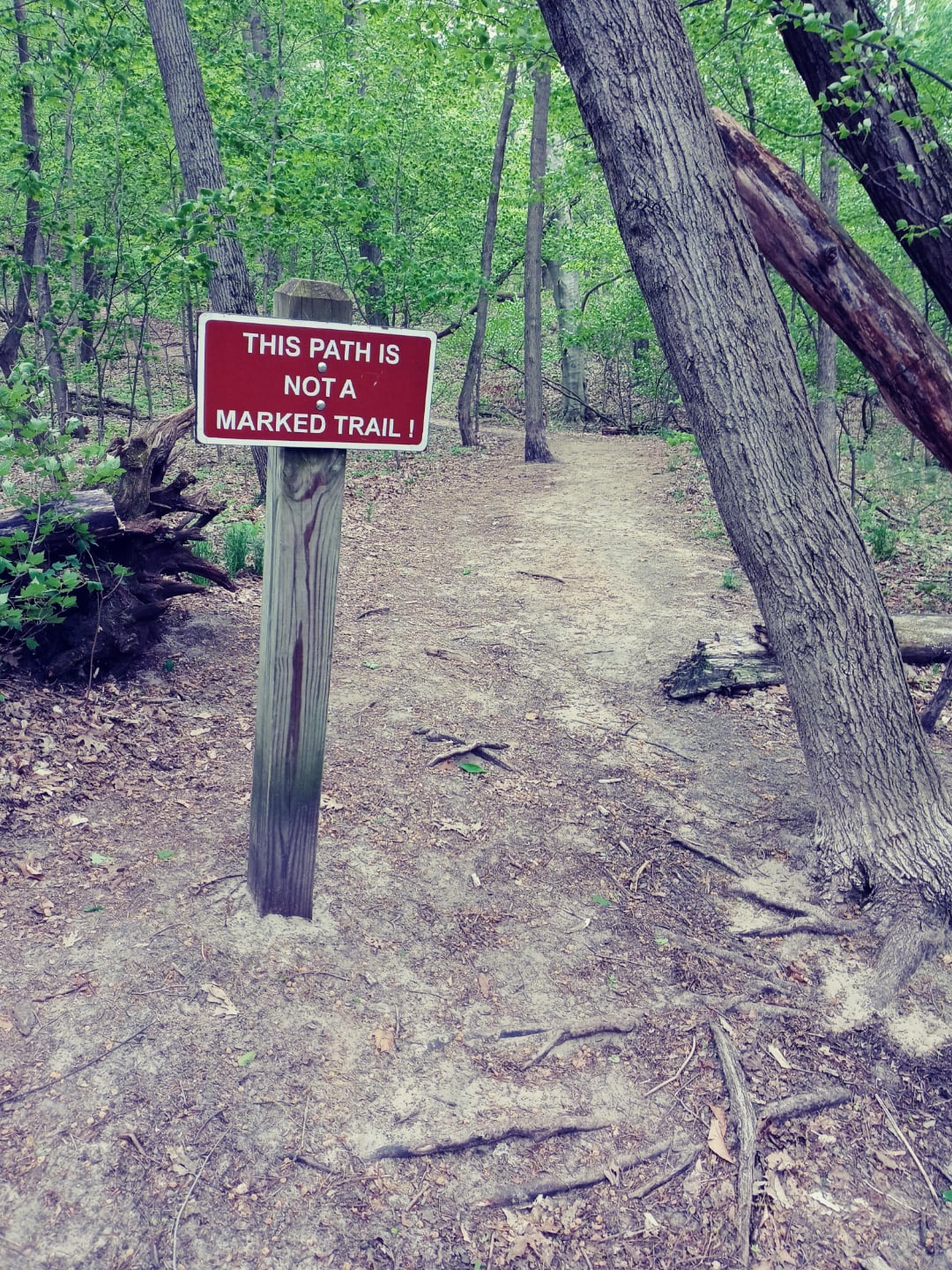 A dirt path in a forest with a red sign reading "THIS PATH IS NOT A MARKED TRAIL." Trees and green foliage surround the unmarked pathway.