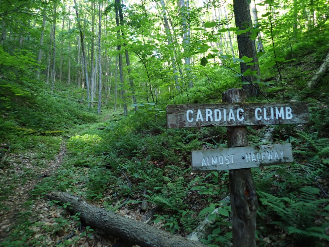 A wooded trail ascends through a green forest. In the foreground, a wooden sign reads "Cardiac Climb" with a smaller sign below that says "Almost Halfway.