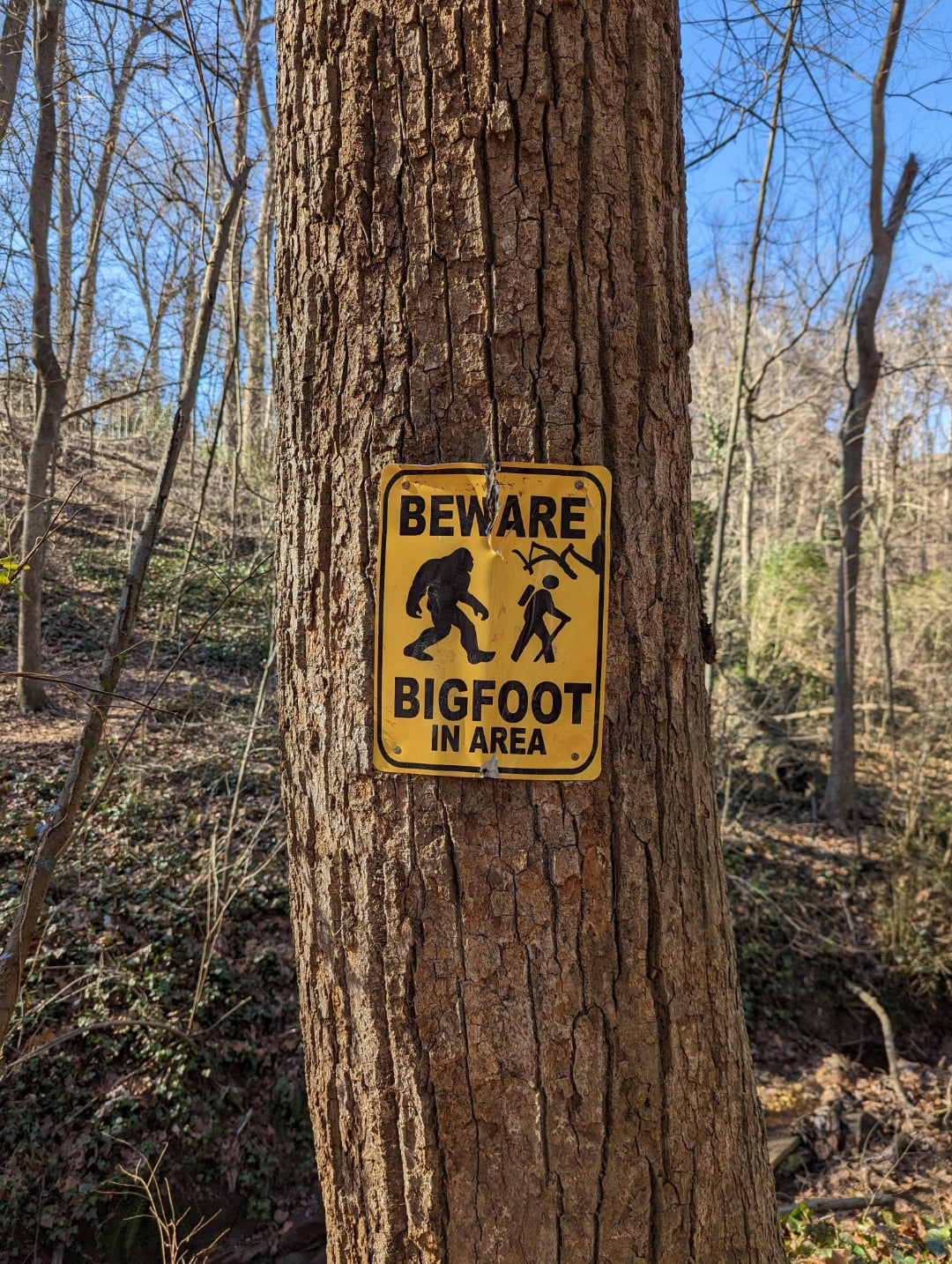 A yellow sign on a tree reads "Beware Bigfoot in Area" with silhouettes of Bigfoot and people running. The background shows a forest with bare trees and sunlight.