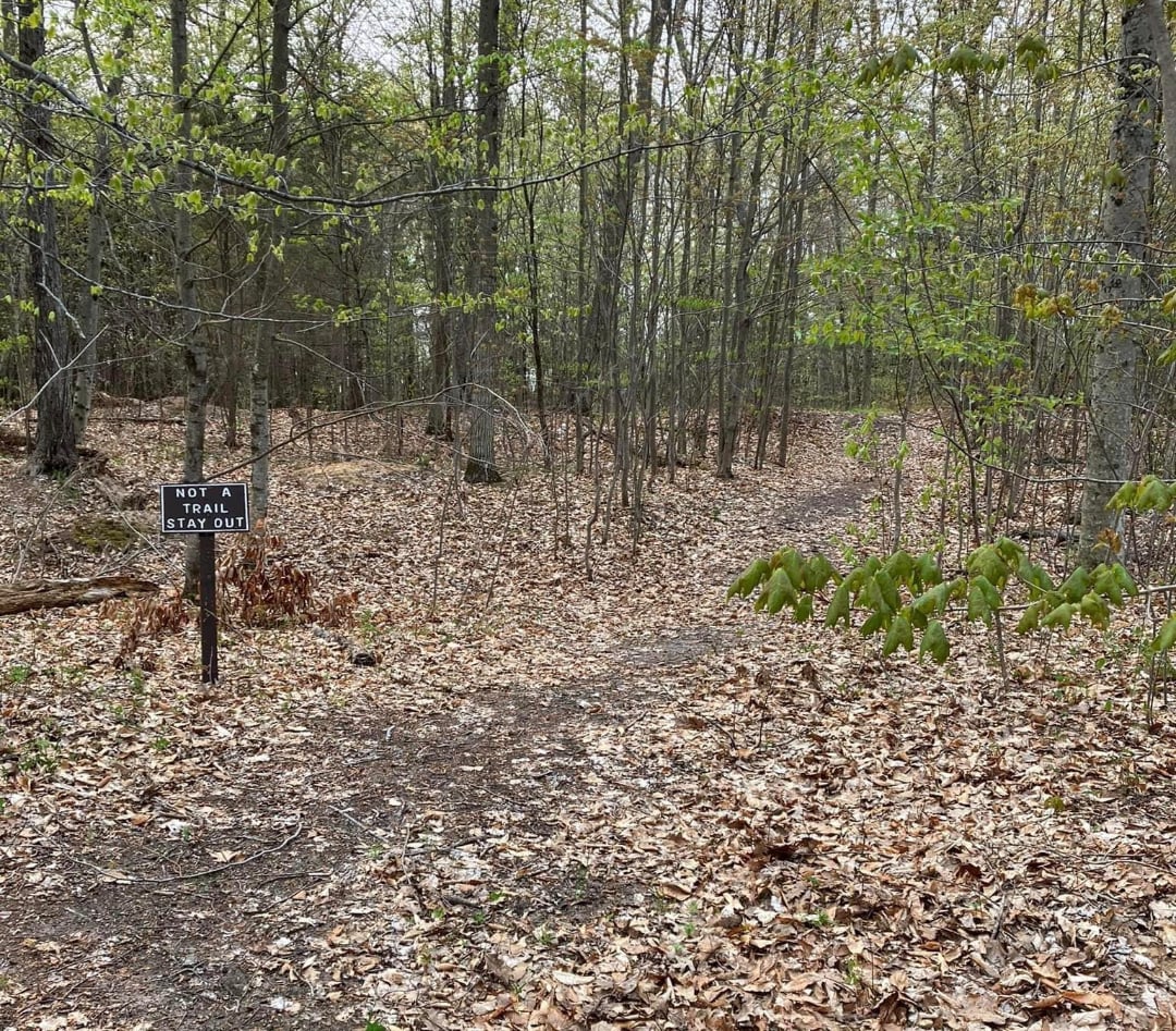 A wooded trail covered with dry leaves winds through the trees. A sign on the left reads, "Not a trail. Stay out." The surrounding forest is sparse with early spring foliage.