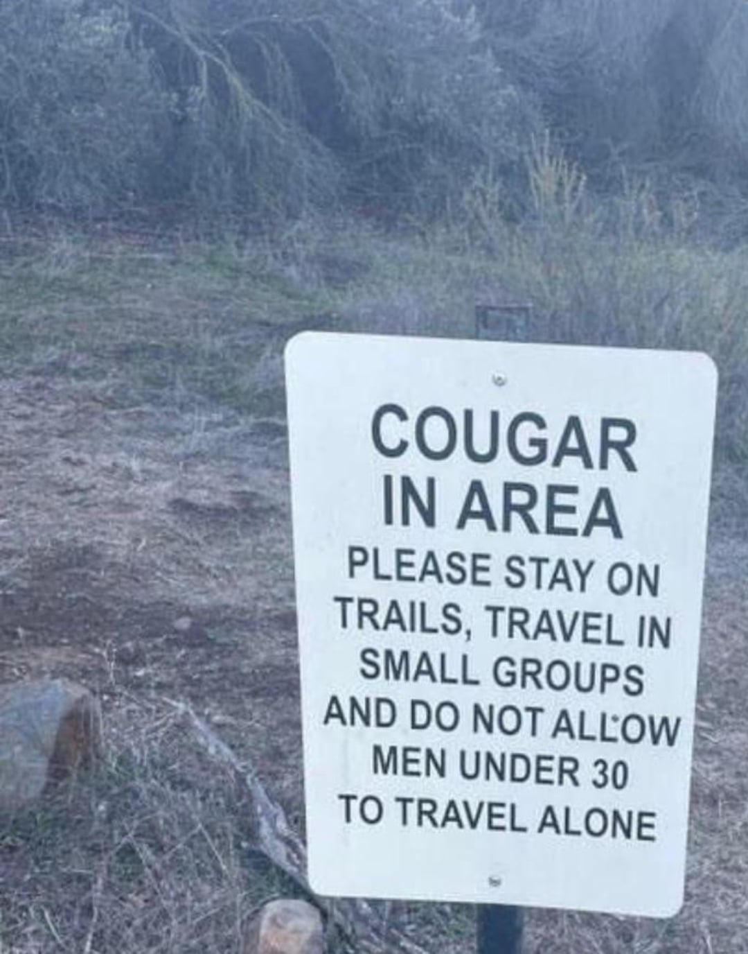A warning sign in a natural outdoor area reads: "Cougar in area. Please stay on trails, travel in small groups and do not allow men under 30 to travel alone.