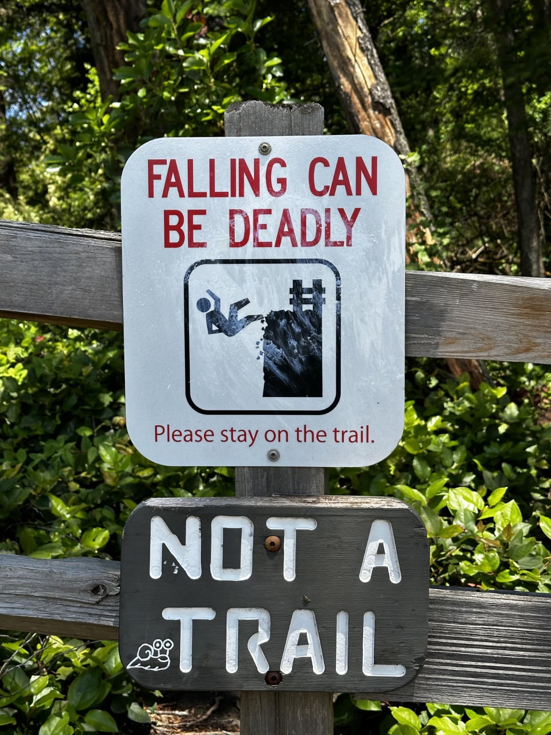 These funny signs read "Falling can be deadly. Please stay on the trail." with an image of a person falling off a ledge. Below it, a wooden sign says "Not a trail." Greenery and trees are visible in the background.