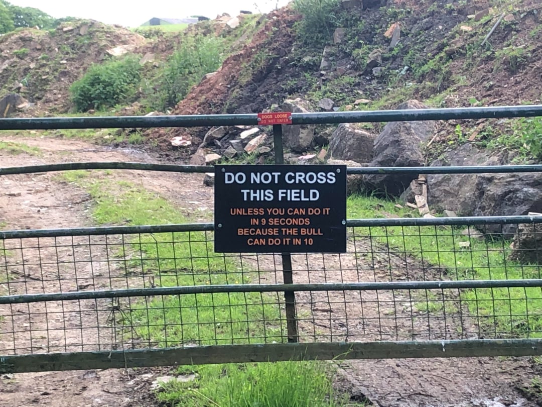 A metal gate blocks a dirt path with a sign that reads: "DO NOT CROSS THIS FIELD unless you can do it in 9 seconds because the bull can do it in 10." Rocks and greenery are visible in the background.