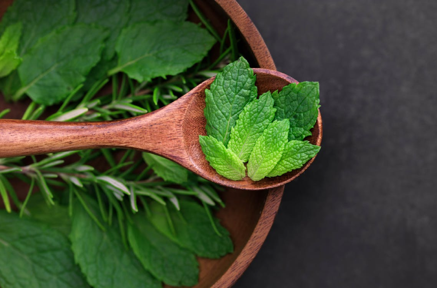 A wooden spoon holds fresh mint leaves above a wooden bowl filled with more mint and sprigs of rosemary, set on a dark surface.