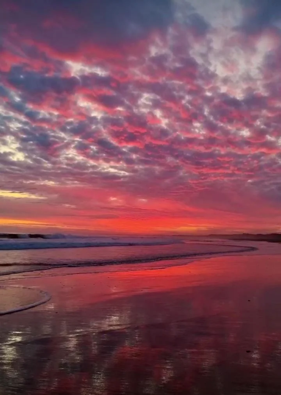 A beach at sunset with dramatic clouds glowing in vibrant shades of pink, purple, and orange. The colorful sky is reflected on the wet sand and calm waves, creating a serene and picturesque scene.