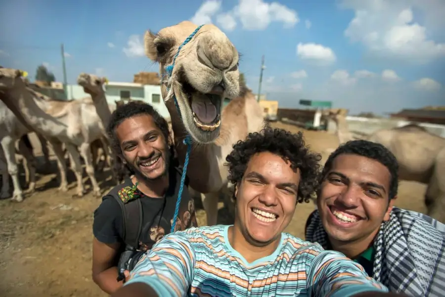 Three young men smile while taking a selfie with a camel. The camel appears to be “smiling” as well. More camels and buildings are visible in the background under a partly cloudy sky.