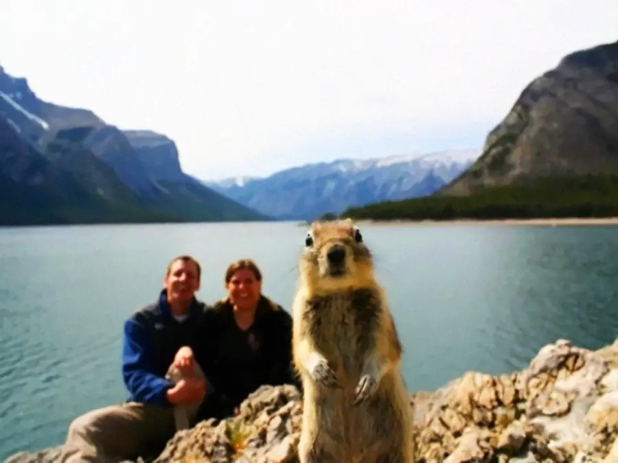 A squirrel stands in the foreground on rocky terrain, with a smiling couple sitting by a lake and mountains in the blurred background under a partly cloudy sky.
