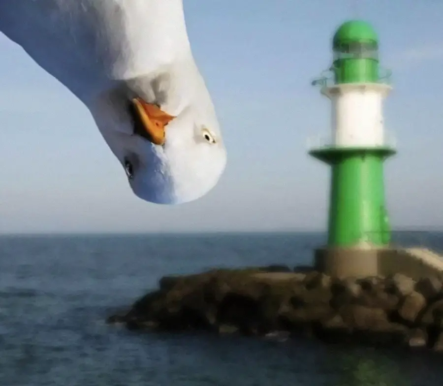 A close-up of a seagull tilting its head in front of a blurry green and white lighthouse by the sea, with water and sky in the background.