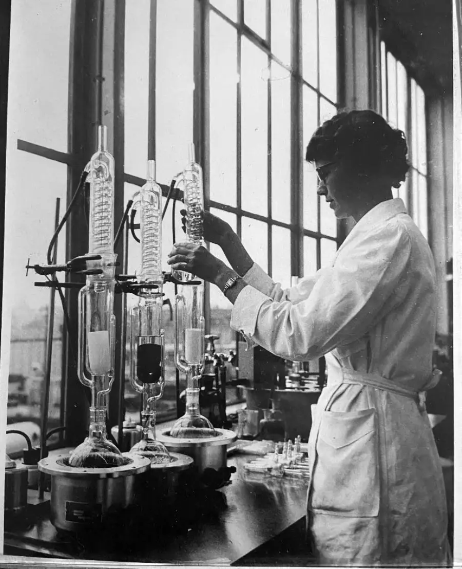 A scientist in a lab coat works with three large glass condensers and beakers on a laboratory bench by tall windows, adjusting equipment and conducting an experiment.