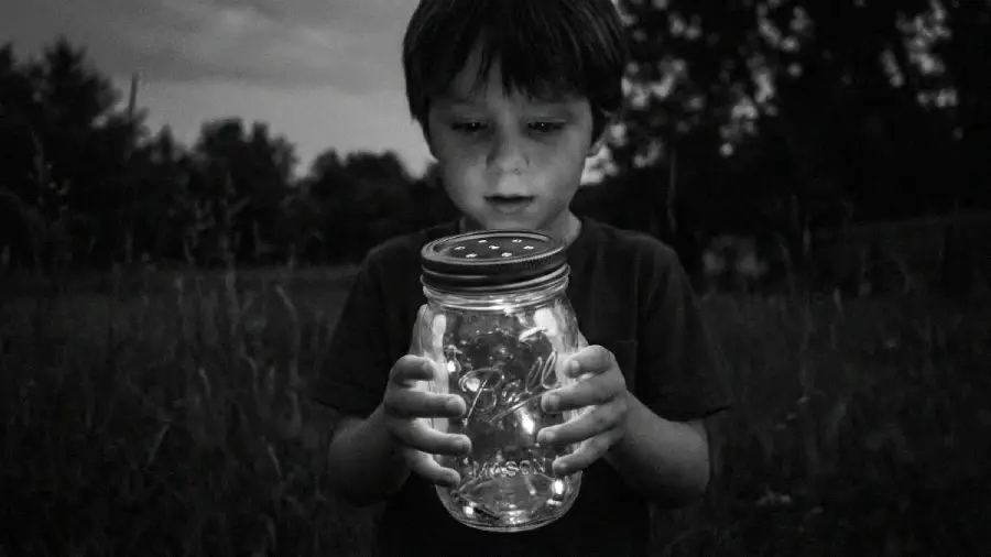 A young boy stands outside at dusk, holding a glass jar glowing with light, possibly from fireflies, and gazes at it in wonder. Trees and tall grass are visible in the background. The image is in black and white.