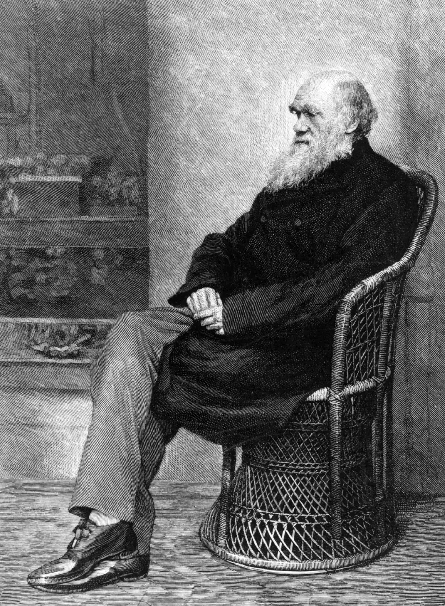 Black and white illustration of an elderly man with a long beard, sitting sideways in a wicker chair. He is wearing a long coat, trousers, and shoes, with his hands folded in his lap and legs crossed.