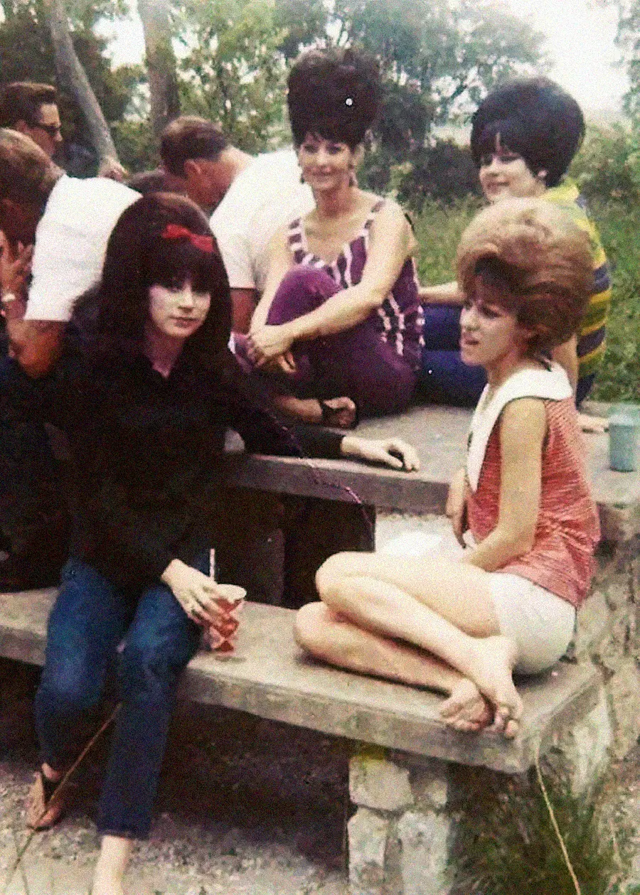 Four women with 1960s-style beehive hairdos sit and chat at an outdoor picnic table, while several men sit nearby with their backs turned. The setting is casual and grassy, with trees in the background.