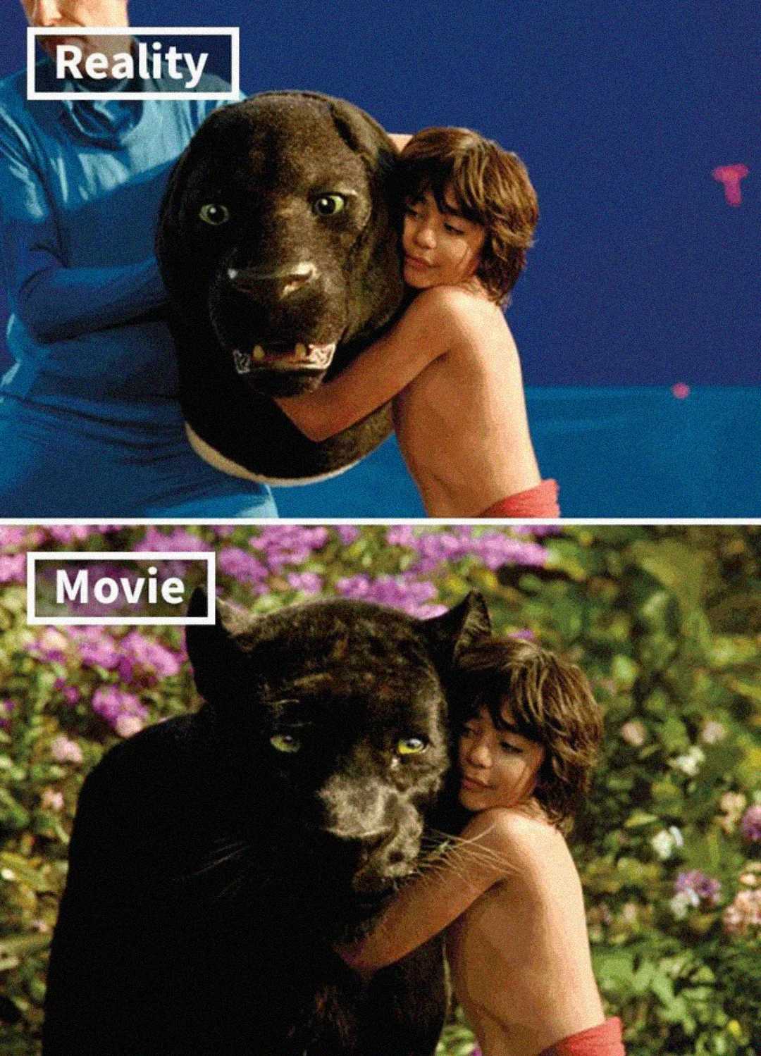 Split image: Top shows a boy hugging a realistic panther prop held by a person in a blue suit; bottom shows the same boy hugging a lifelike CGI panther in a jungle scene, labeled "Movie.