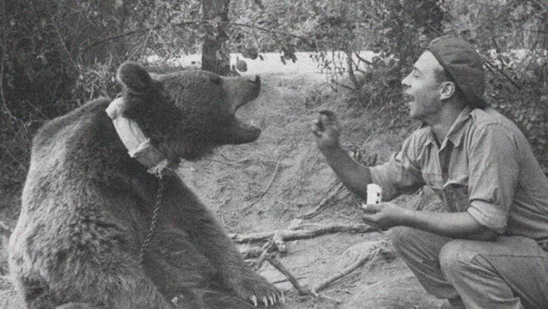 A man in outdoor clothing smiles and interacts with a large bear that is sitting and wearing a collar with a chain. The bear’s mouth is open, and the setting appears to be a wooded area.