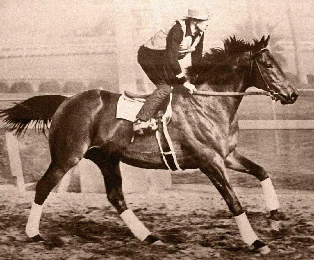 A jockey wearing a helmet and vest rides a galloping horse on a dirt track. The horse has bandages on its legs, and the background shows a fence and blurred structures. The image is in black and white.