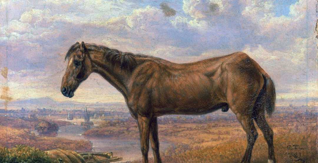 A brown horse stands on a grassy hill overlooking a river and a distant town under a cloudy sky in a classical-style painting. The horse appears thin, with visible ribs and a lowered head.
