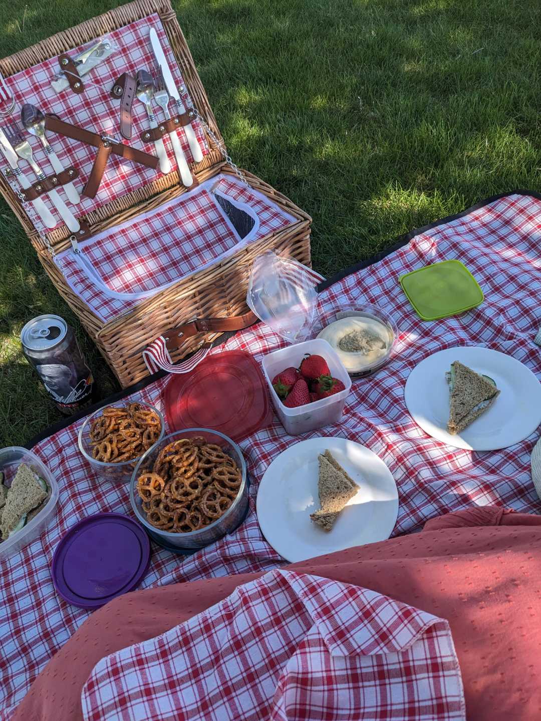 A picnic scene with a checkered blanket, wicker basket, sandwiches on plates, pretzels, strawberries, a can of soda, and plastic containers, set on grass in the shade.