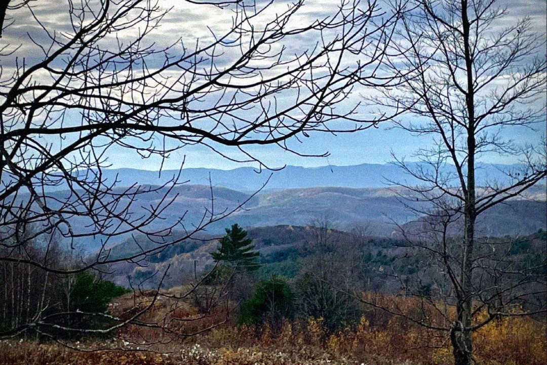Bare tree branches frame a scenic view of rolling hills and mountains under a cloudy sky, with patches of autumn foliage and distant forests visible in the landscape.