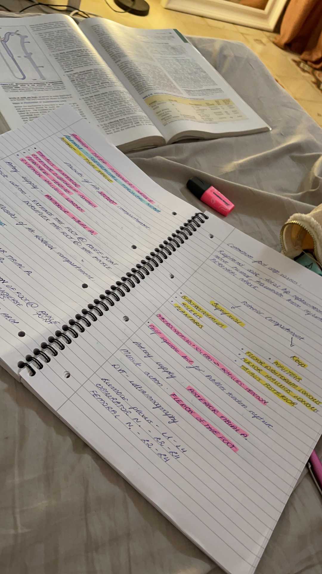 A spiral notebook with handwritten notes highlighted in pink, yellow, and blue lies open on a bed. An open textbook and a pink highlighter are nearby, suggesting study or exam preparation.
