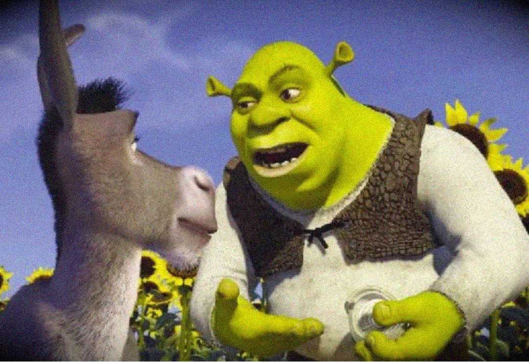 Shrek, a green ogre, talks animatedly to Donkey in a sunflower field under a blue sky. Both characters appear expressive, with Shrek gesturing with his hands.