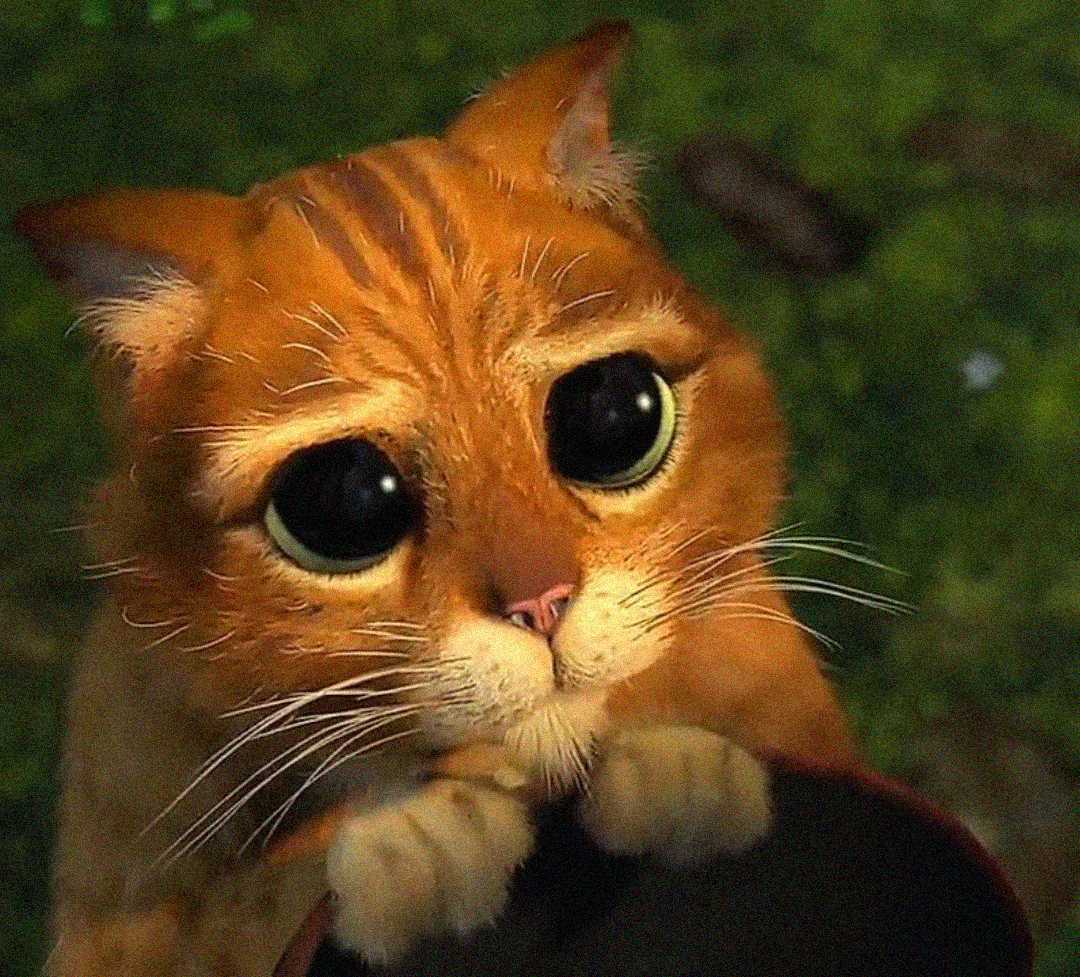 Animated orange cat with big, shiny, pleading eyes and tiny paws held together, looking up sadly. The background is blurred green, suggesting an outdoor setting.