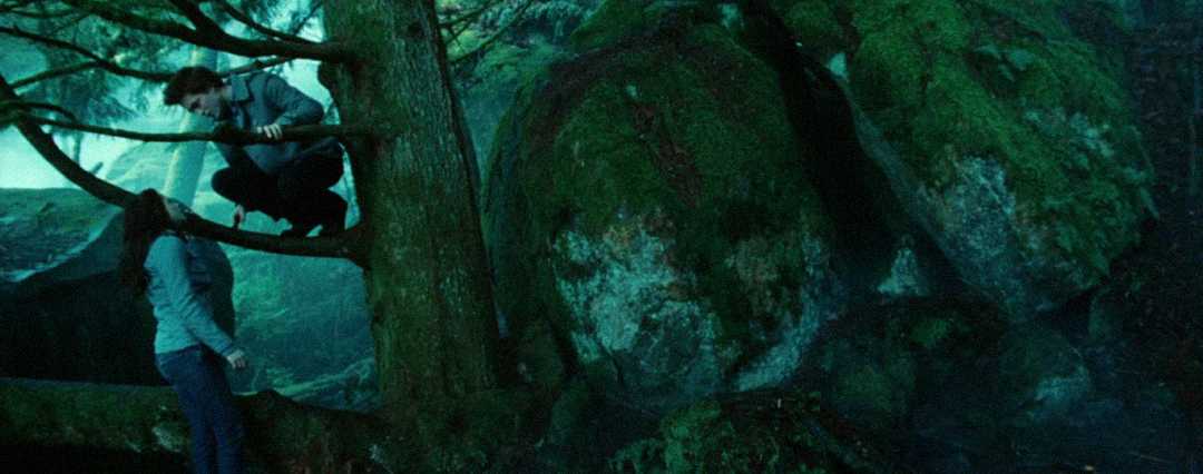 A person crouches on a tree branch, looking down at another person standing below in a mossy, forested area with large rocks and lush greenery.