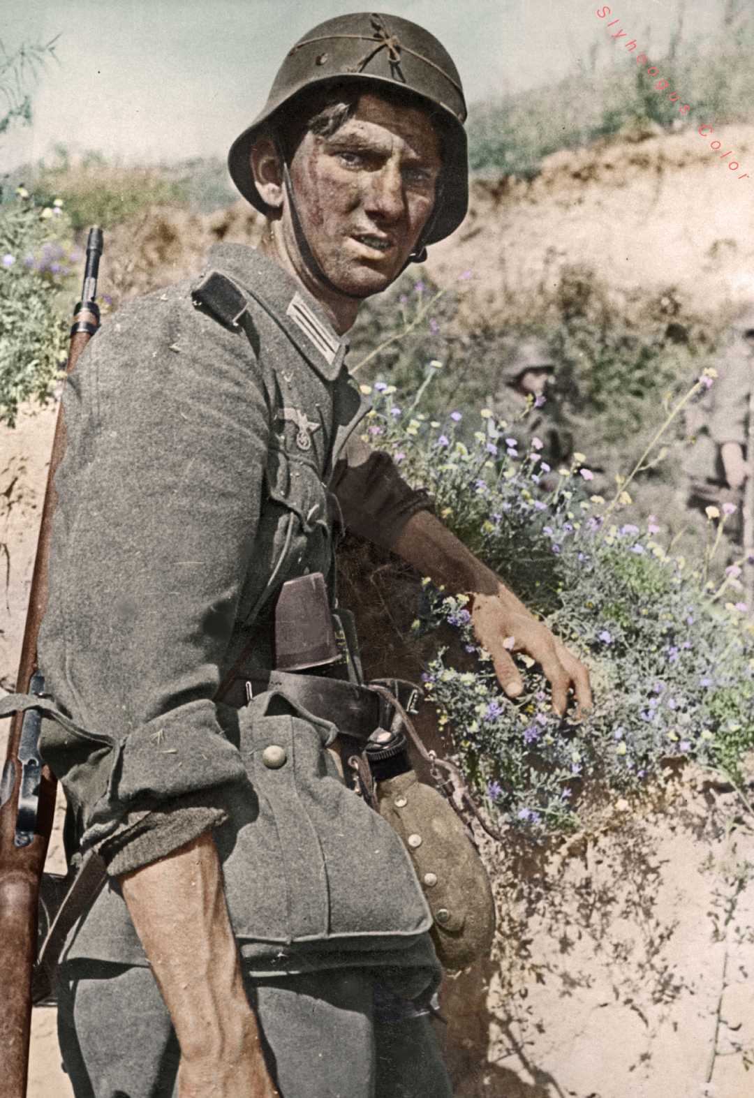 A young WWII German soldier in uniform and helmet stands in a trench, holding a rifle. His face is dirty and he looks directly at the camera, with wildflowers and another soldier blurred in the background.