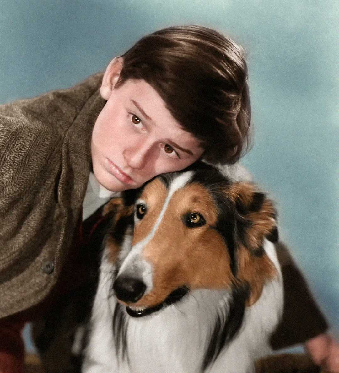 pets