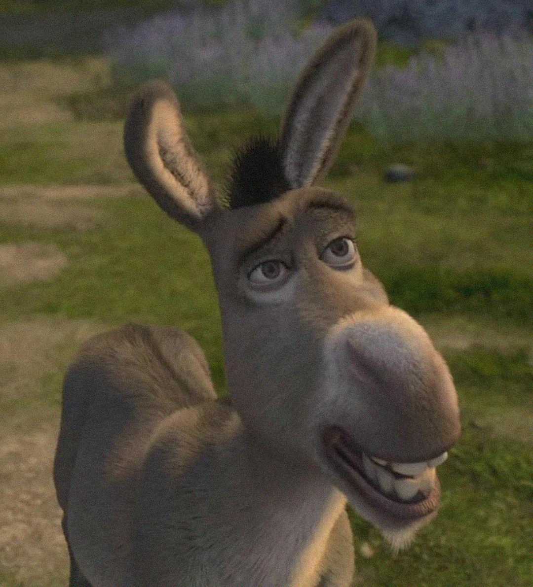 A close-up of an animated donkey character with large expressive eyes, upright ears, and a slight smile, standing outdoors on a grassy path with greenery in the background.