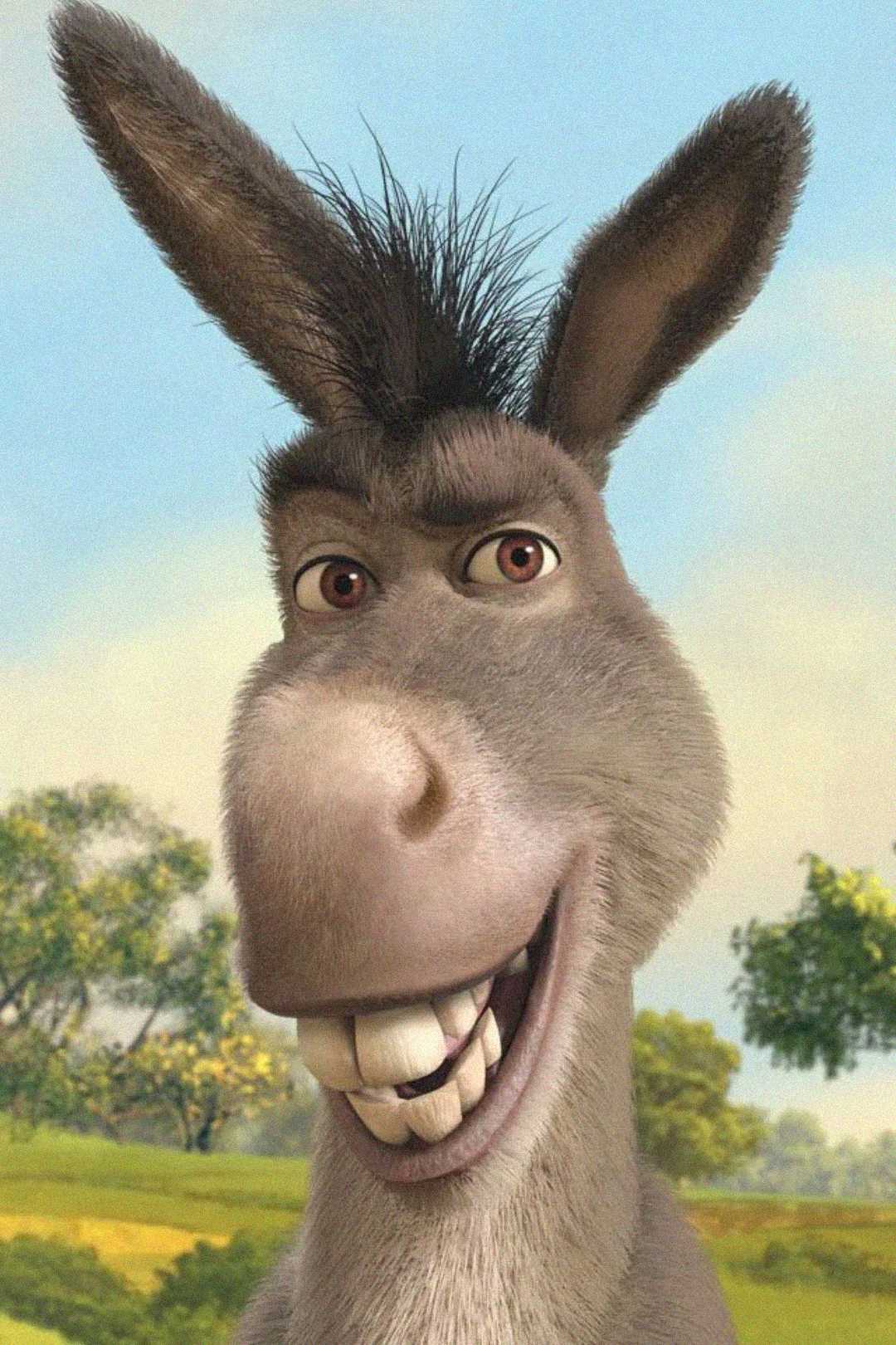 A smiling animated donkey with large teeth and expressive eyes stands outdoors, with trees and a blue sky in the background.