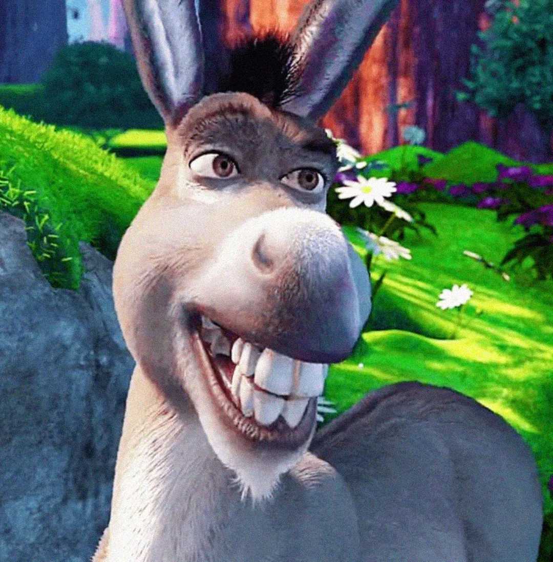 Animated donkey character smiling widely, showing large teeth, with green grass, rocks, and white flowers in the colorful background.