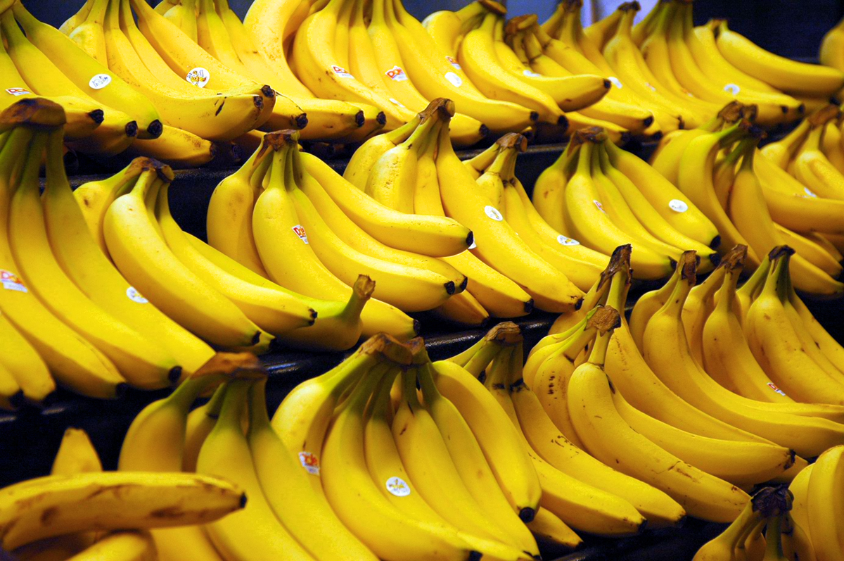 A display of several bunches of ripe yellow bananas arranged in rows on dark shelves at a grocery store or market.
