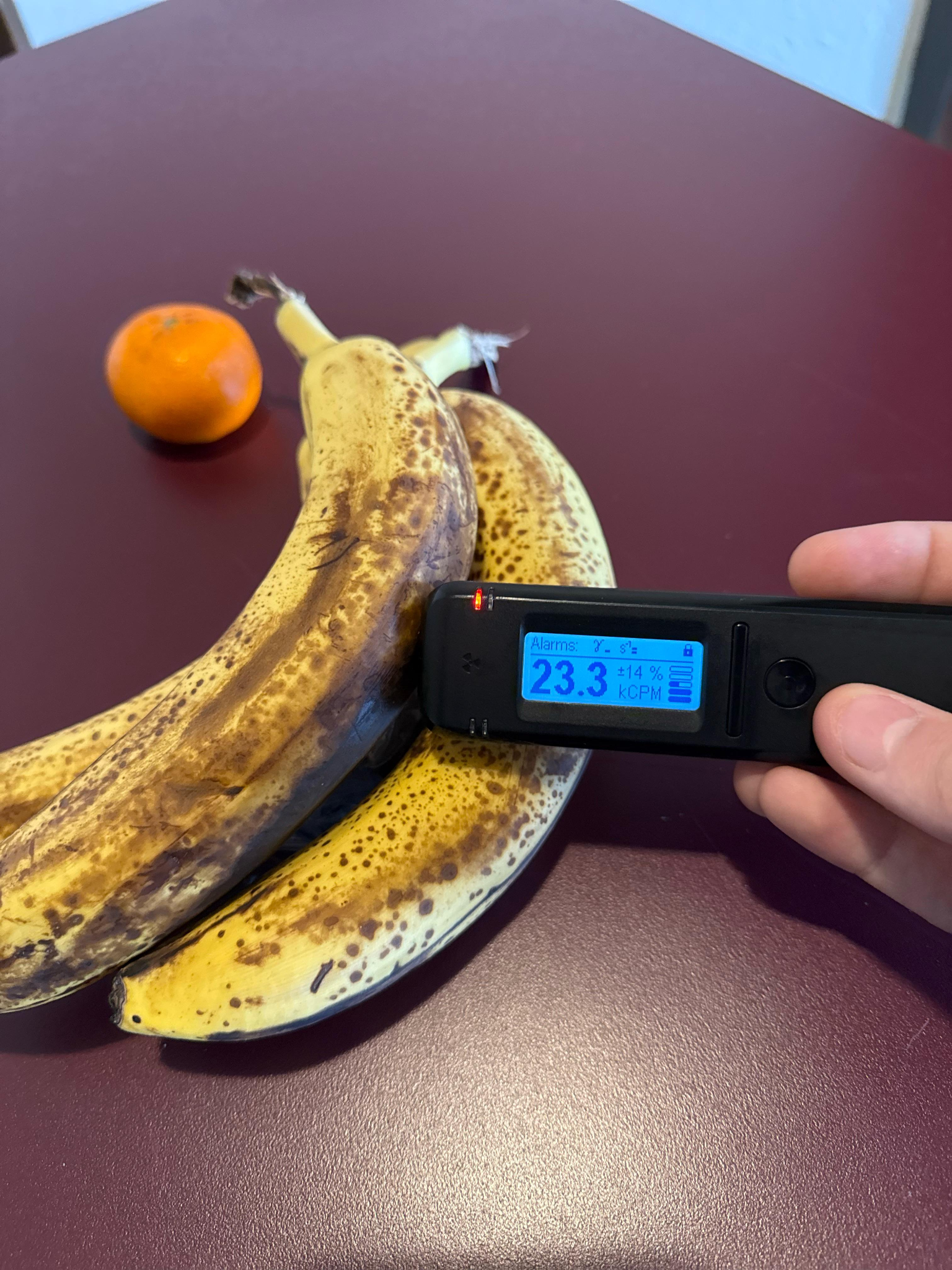 A hand holds a digital Geiger counter displaying 23.3 CPM against two ripe, spotted bananas. Science. An orange sits on a maroon tabletop in the background.