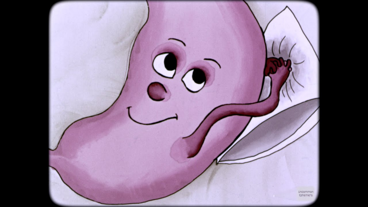A cartoon-style pink stomach with a face smiles and reclines on a white pillow, using its arm-like extension to adjust the pillow.